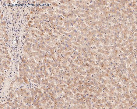 HUABIO ER2001-01 image 2