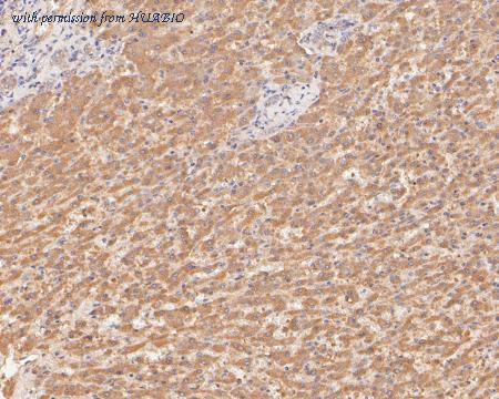 HUABIO ER2001-12 image 2