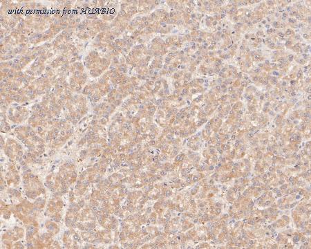 HUABIO ER2001-12 image 3