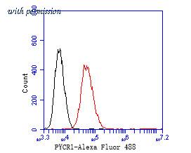 HUABIO ER2001-18 image 2