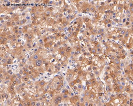 HUABIO ER2001-45 image 3