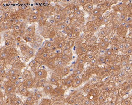 HUABIO ER2001-53 image 2