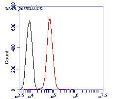 HUABIO ER2001-53 image 3