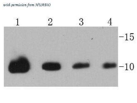 HUABIO ER31212 image 2