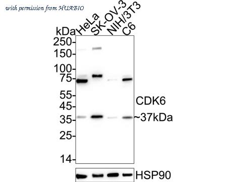 HUABIO ER40101 image 1