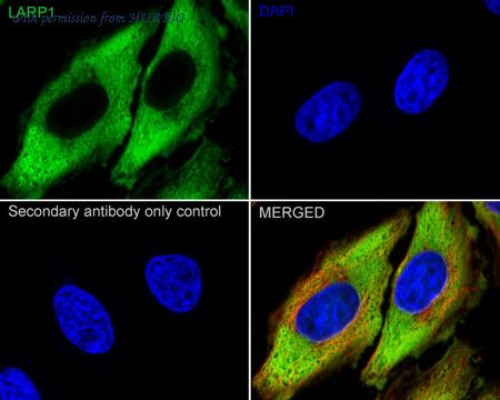 HUABIO ER60797 image 2