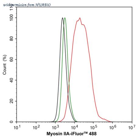 HUABIO ER62480 image 3