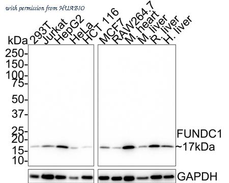 HUABIO ER65664 image 1