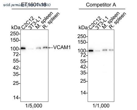 HUABIO ET1601-18-50UL image 1