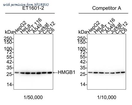 HUABIO ET1601-2-50UL image 1