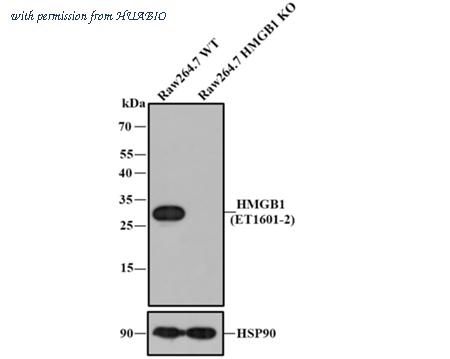 HUABIO ET1601-2-50UL image 2
