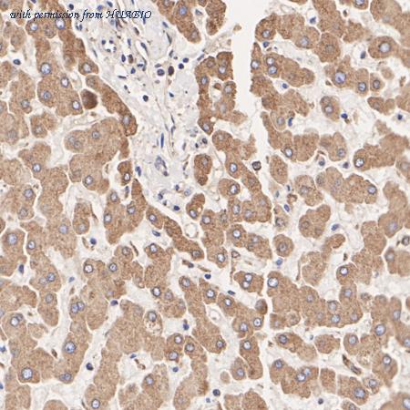 HUABIO ET1601-21-50UL image 2