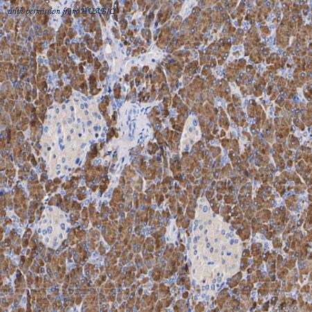 HUABIO ET1602-18 image 2