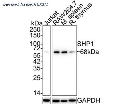HUABIO ET1602-19-50UL image 1
