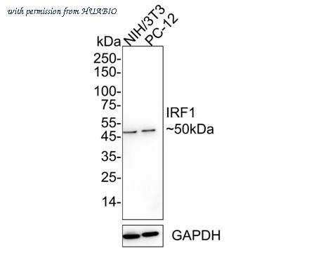 HUABIO ET1602-28 image 2
