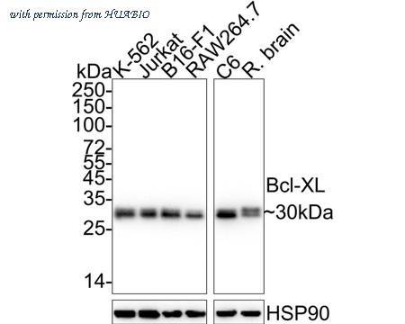 HUABIO ET1603-28 image 1