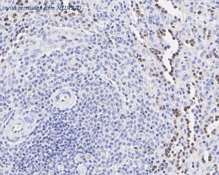 HUABIO ET1604-21-50UL image 3