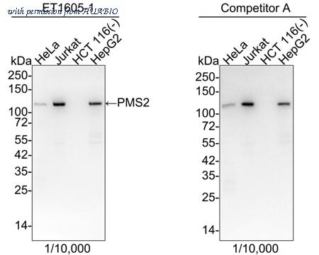 HUABIO ET1605-1 image 2