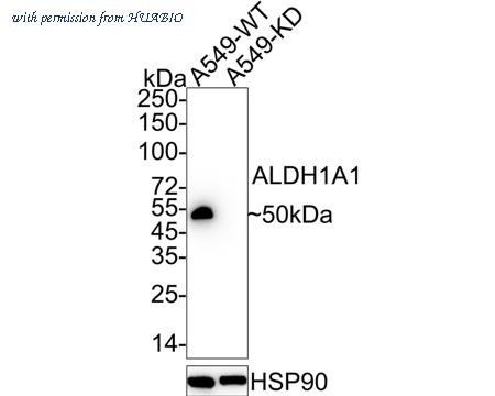 HUABIO ET1605-24 image 1