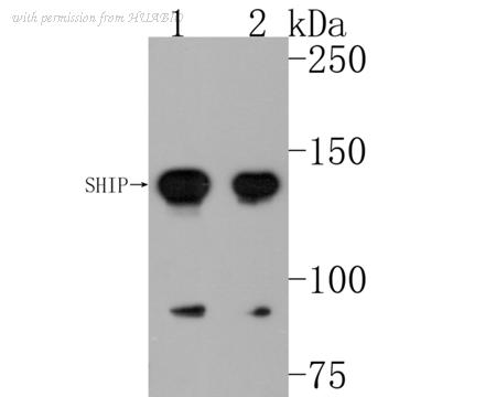 HUABIO ET1605-30 image 1