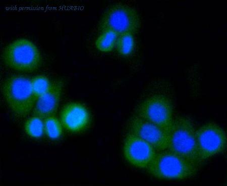 HUABIO ET1606-48-50UL image 3