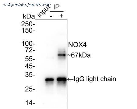 HUABIO ET1607-4-50UL image 3