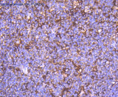 HUABIO ET1607-43 image 2