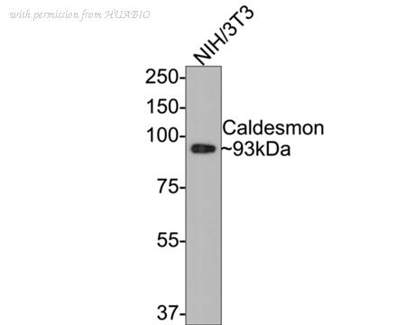 HUABIO ET1608-16 image 1