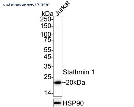 HUABIO ET1609-20 image 3