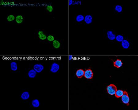 HUABIO ET1609-24 image 2