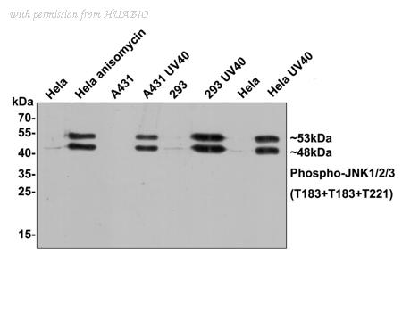 HUABIO ET1609-42 image 1