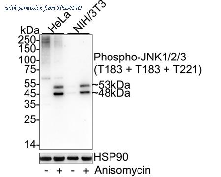HUABIO ET1609-42 image 3