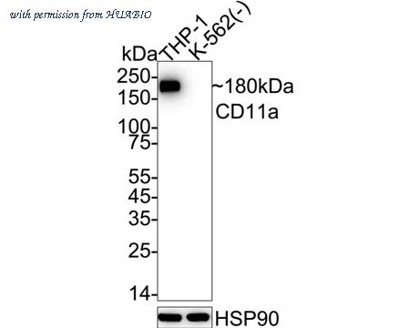 HUABIO ET1610-1 image 1