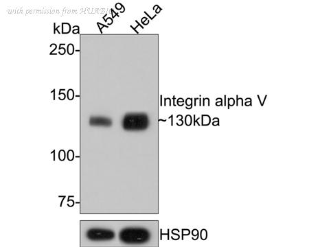 HUABIO ET1610-15-50UL image 3