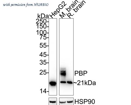 HUABIO ET1610-18 image 2