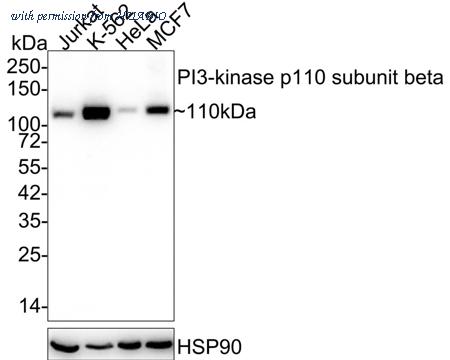 HUABIO ET1610-36 image 1