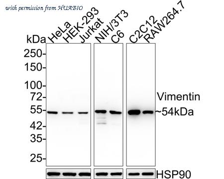 HUABIO ET1610-39 image 3