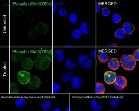 HUABIO ET1610-48 image 2