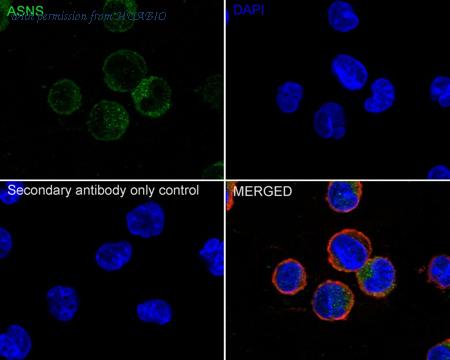 HUABIO ET1610-50 image 2