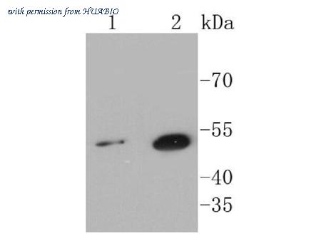 HUABIO ET1610-6 image 3
