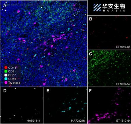 HUABIO ET1610-64 image 2