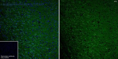 HUABIO ET1610-80 image 1