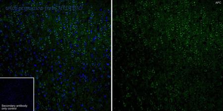 HUABIO ET1610-80 image 2