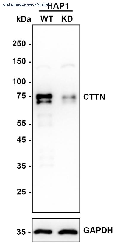 HUABIO ET1610-87 image 1