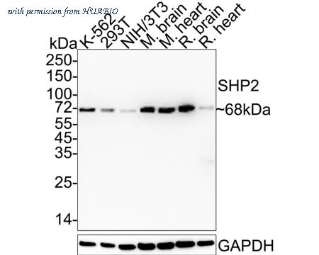 HUABIO ET1611-35 image 1