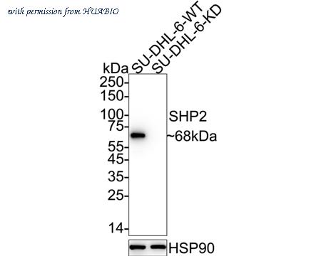 HUABIO ET1611-35 image 2