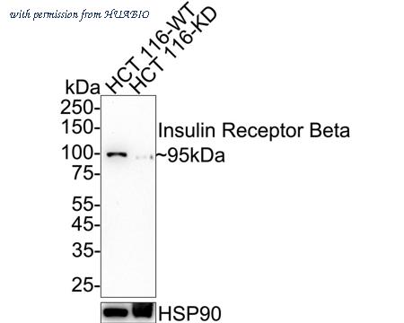 HUABIO ET1611-90 image 1
