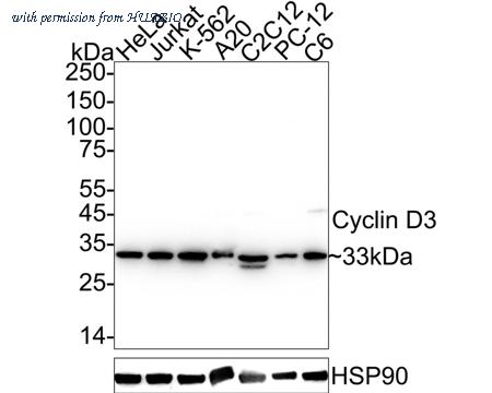 HUABIO ET1612-4 image 1