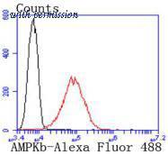 HUABIO ET1612-56 image 3