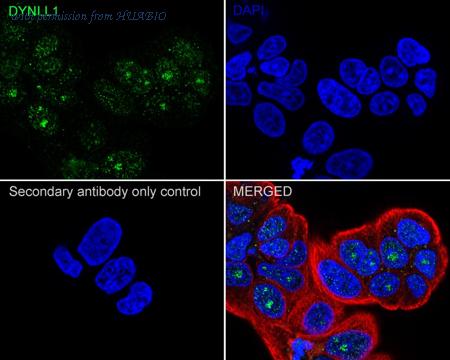 HUABIO ET1612-64 image 2